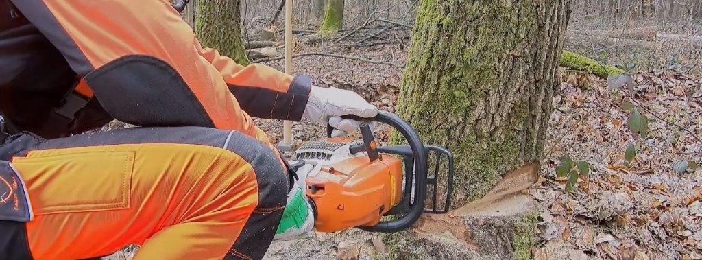 Blickle & Scherer, Kenwood’s specialist in the forestry sector in Germany upgrades the existing analogue system in use by several state enterprises to NEXEDGE Digital.