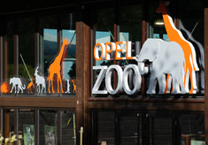 KENWOOD Comms & Opel Zoo