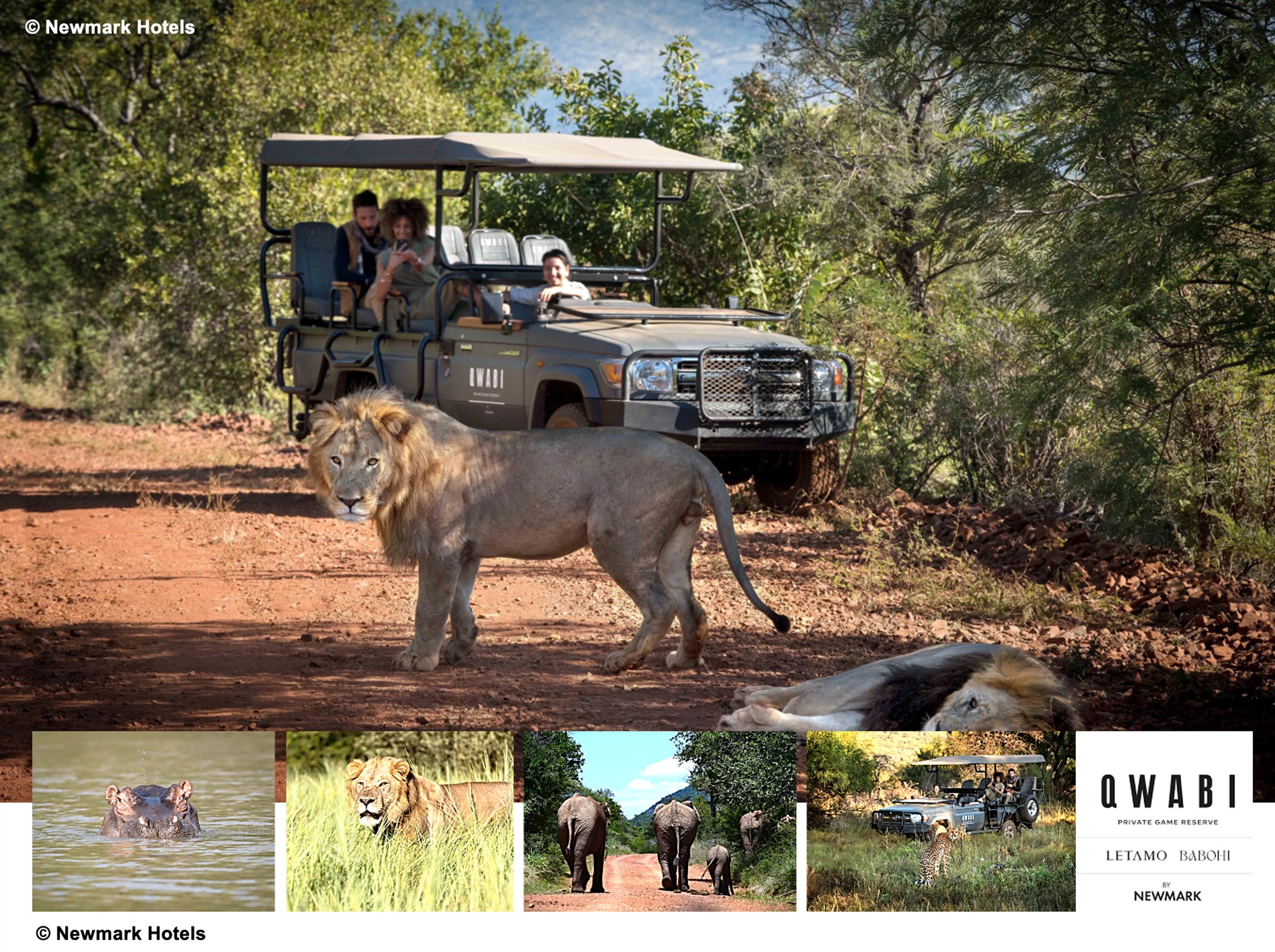 KENWOOD DMR upgrade provides operations critical radio communications at the five-star Qwabi private game reserve