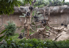 Leipzig Zoo & KENWOOD communications