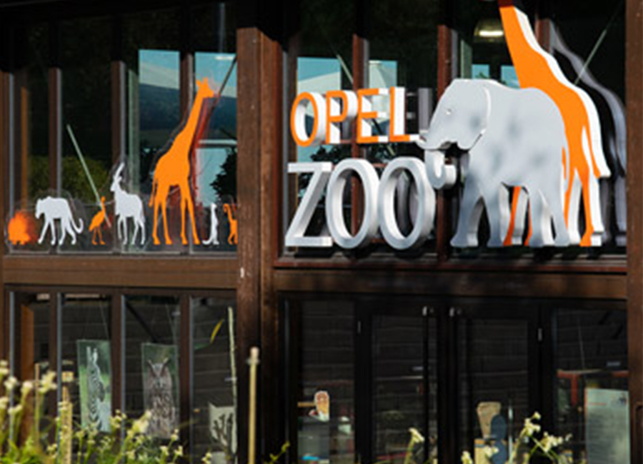 Opel Zoo is fully covered with KENWOOD DMR
